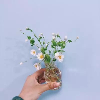 开局一只白虎变态版下载